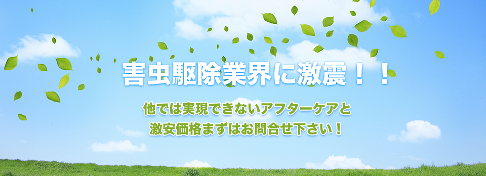 Q쏜ƊEɌkII