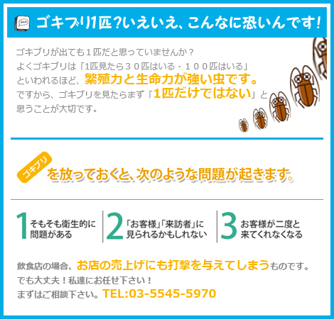 �S�L�u���P�C�H���������A����Ȃɋ�����ł��I