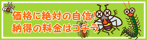 ���i�ɐ�΂̎��M�I �[���̗����̓R�`��