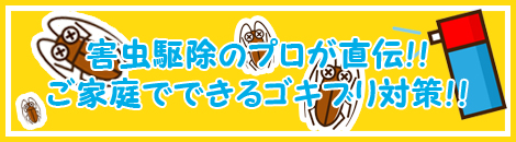 �Q���쏜�̃v�������`�I�I ���ƒ�łł���S�L�u���΍�I�I 