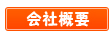 ЊTv